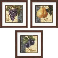 Framed 'Fruit Illustration 3 Piece Framed Art Print Set' border=