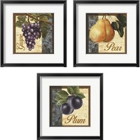 Framed 'Fruit Illustration 3 Piece Framed Art Print Set' border=