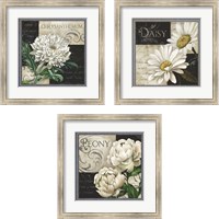Framed 'Flowers on B&W 3 Piece Framed Art Print Set' border=