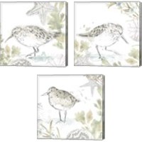 Framed 'Seaside Sandpipers 3 Piece Canvas Print Set' border=