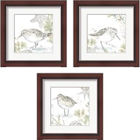 Framed 'Seaside Sandpipers 3 Piece Framed Art Print Set' border=