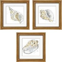 Framed 'Citron Shell Sketch 3 Piece Framed Art Print Set' border=