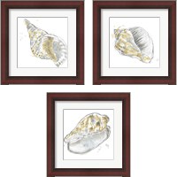 Framed Citron Shell Sketch 3 Piece Framed Art Print Set