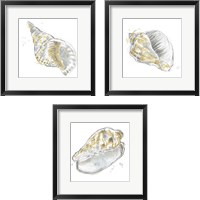 Framed Citron Shell Sketch 3 Piece Framed Art Print Set