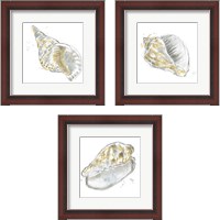 Framed 'Citron Shell Sketch 3 Piece Framed Art Print Set' border=