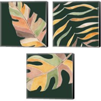 Framed Palm Grove 3 Piece Canvas Print Set