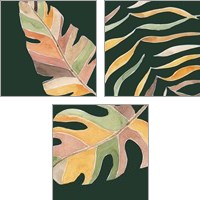 Framed Palm Grove 3 Piece Art Print Set