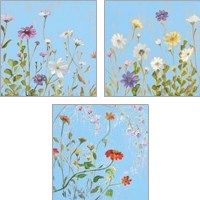 Framed 'Wild Flowers on Cerulean 3 Piece Art Print Set' border=