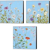 Framed 'Wild Flowers on Cerulean 3 Piece Canvas Print Set' border=