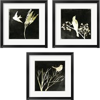 Framed 'Black Night 3 Piece Framed Art Print Set' border=