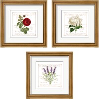 Framed 'Floral 3 Piece Framed Art Print Set' border=