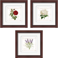 Framed Floral 3 Piece Framed Art Print Set