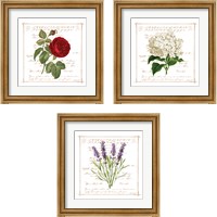 Framed 'Floral 3 Piece Framed Art Print Set' border=