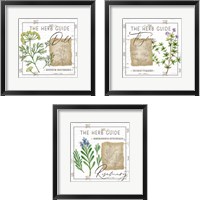 Framed 'Herb Guide 3 Piece Framed Art Print Set' border=