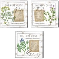 Framed 'Herb Guide 3 Piece Canvas Print Set' border=
