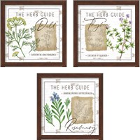 Framed 'Herb Guide 3 Piece Framed Art Print Set' border=