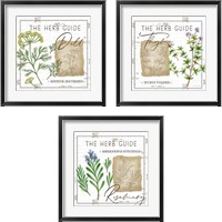Framed Herb Guide 3 Piece Framed Art Print Set