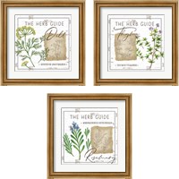 Framed Herb Guide 3 Piece Framed Art Print Set