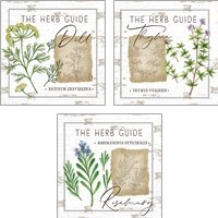 Framed Herb Guide 3 Piece Art Print Set