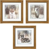 Framed 'Enchanted Winter Fox 3 Piece Framed Art Print Set' border=
