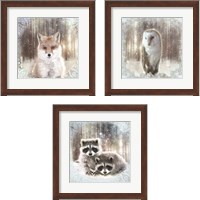 Framed Enchanted Winter Fox 3 Piece Framed Art Print Set