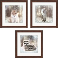 Framed 'Enchanted Winter Fox 3 Piece Framed Art Print Set' border=