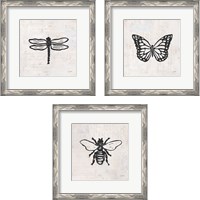 Framed 'Insect Stamp BW 3 Piece Framed Art Print Set' border=