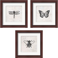 Framed Insect Stamp BW 3 Piece Framed Art Print Set