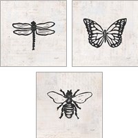 Framed Insect Stamp BW 3 Piece Art Print Set