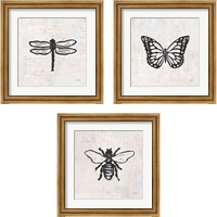 Framed Insect Stamp BW 3 Piece Framed Art Print Set