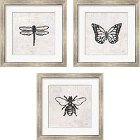 Framed Insect Stamp BW 3 Piece Framed Art Print Set