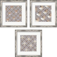 Framed 'Nautical Nets 3 Piece Framed Art Print Set' border=