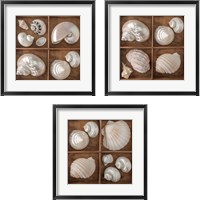 Framed 'Seashells Treasures 3 Piece Framed Art Print Set' border=