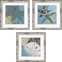 Framed 'Ocean's Delight 3 Piece Framed Art Print Set' border=