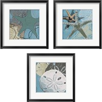 Framed Ocean's Delight 3 Piece Framed Art Print Set