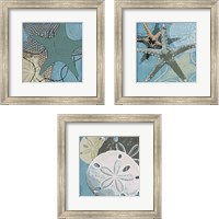Framed Ocean's Delight 3 Piece Framed Art Print Set