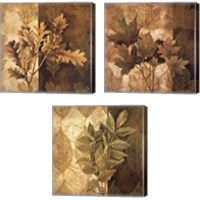 Framed 'Leaf Patterns 3 Piece Canvas Print Set' border=