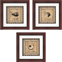 Framed Shell Works 3 Piece Framed Art Print Set