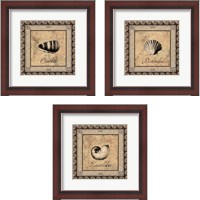 Framed 'Shell Works 3 Piece Framed Art Print Set' border=