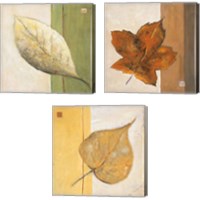 Framed 'Leaf Impression 3 Piece Canvas Print Set' border=
