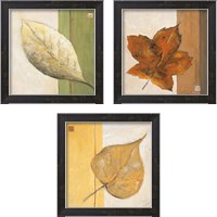 Framed Leaf Impression 3 Piece Framed Art Print Set