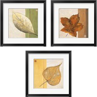 Framed 'Leaf Impression 3 Piece Framed Art Print Set' border=