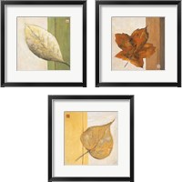 Framed 'Leaf Impression 3 Piece Framed Art Print Set' border=