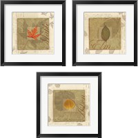 Framed 'Leaf 3 Piece Framed Art Print Set' border=