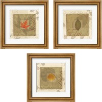 Framed 'Leaf 3 Piece Framed Art Print Set' border=
