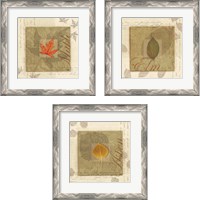 Framed 'Leaf 3 Piece Framed Art Print Set' border=