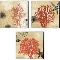 Framed 'Coral Impressions 3 Piece Canvas Print Set' border=