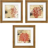 Framed Coral Impressions 3 Piece Framed Art Print Set