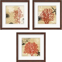 Framed 'Coral Impressions 3 Piece Framed Art Print Set' border=