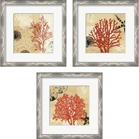 Framed 'Coral Impressions 3 Piece Framed Art Print Set' border=